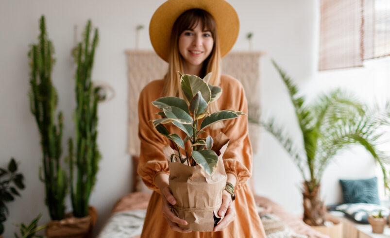 Moda sostenible: el auge de marcas eco-friendly