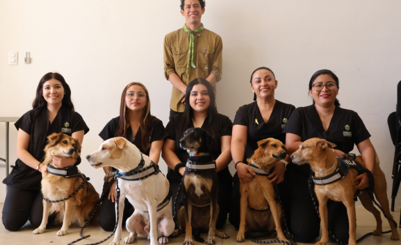 Animales rescatados, en plan municipal: ¿en qué consiste “De la calle al corazón”?