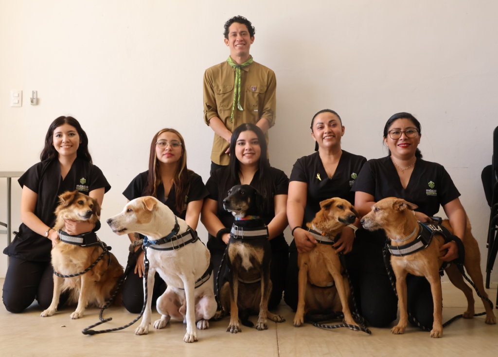 Animales rescatados, en plan municipal: ¿en qué consiste “De la calle al corazón”?