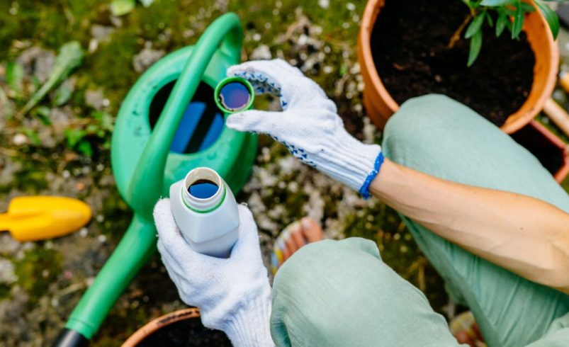 La crisis en Irán y la urgencia de una política nacional de fertilizantes