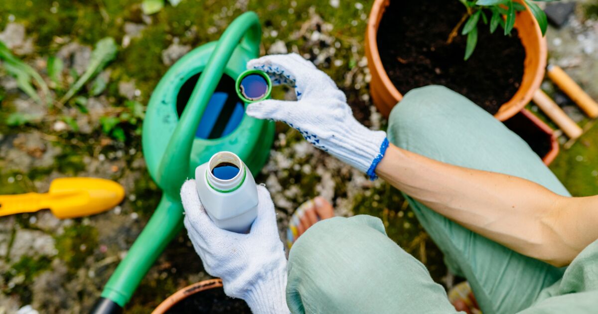 La crisis en Irán y la urgencia de una política nacional de fertilizantes