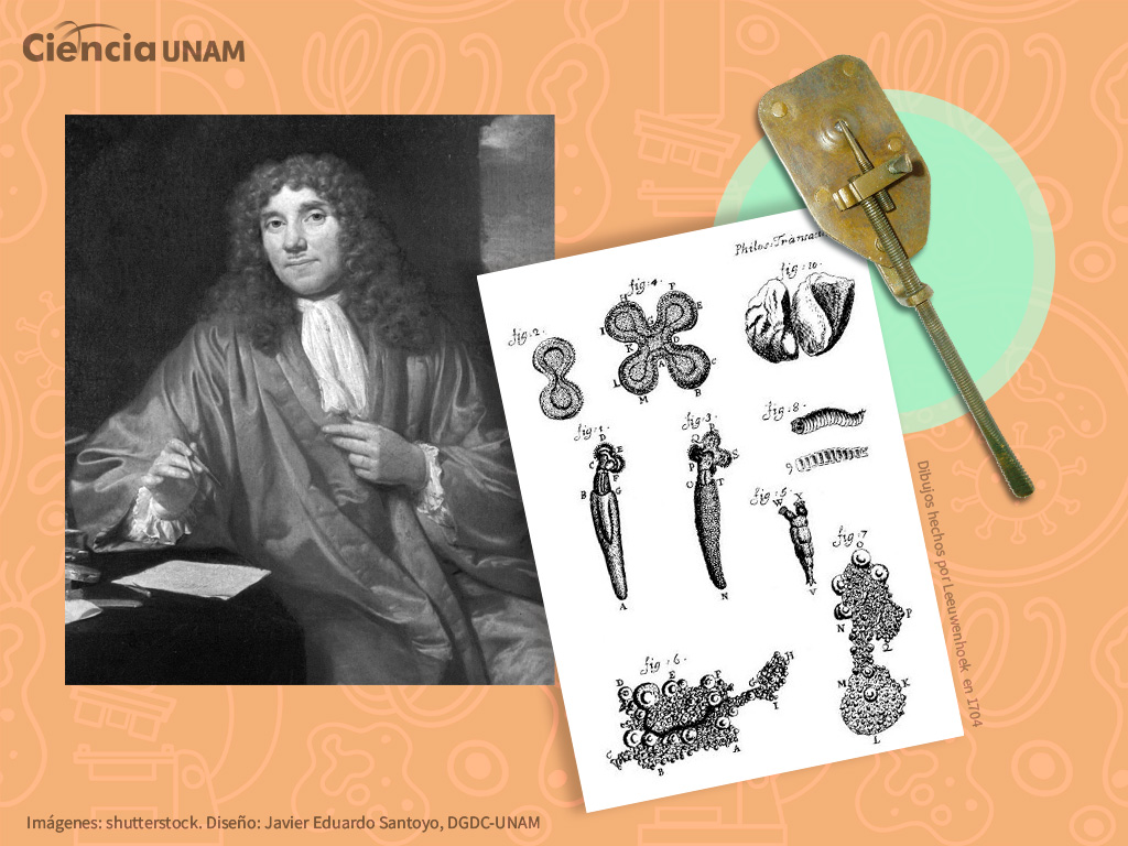 Anton van Leeuwenhoek y su influencia en la construcción de microscopios