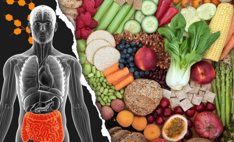 Carbohidratos ¿Aliados o Enemigos? - Ciencia UNAM