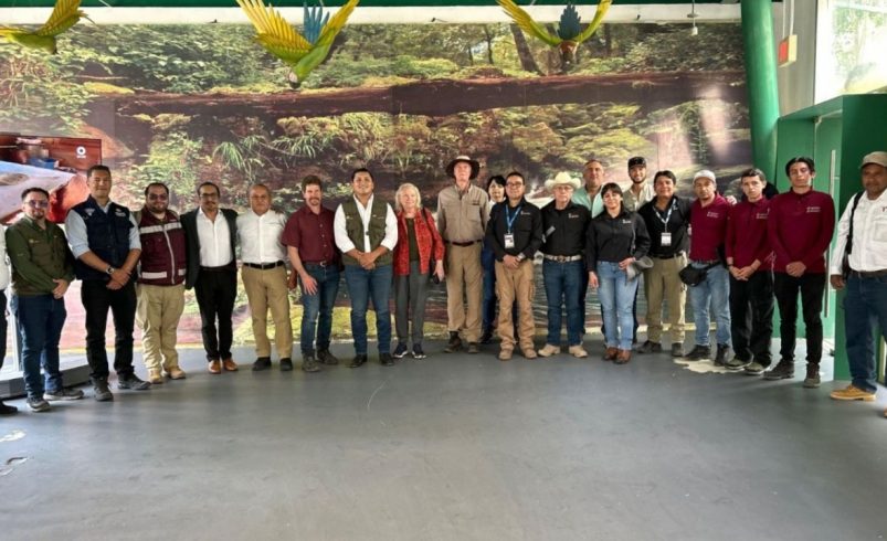 Coordinan estrategia para evitar la propagación del gusano barrenador en fauna silvestre