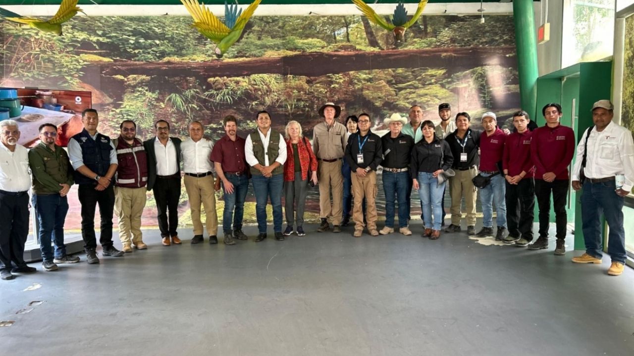 Coordinan estrategia para evitar la propagación del gusano barrenador en fauna silvestre