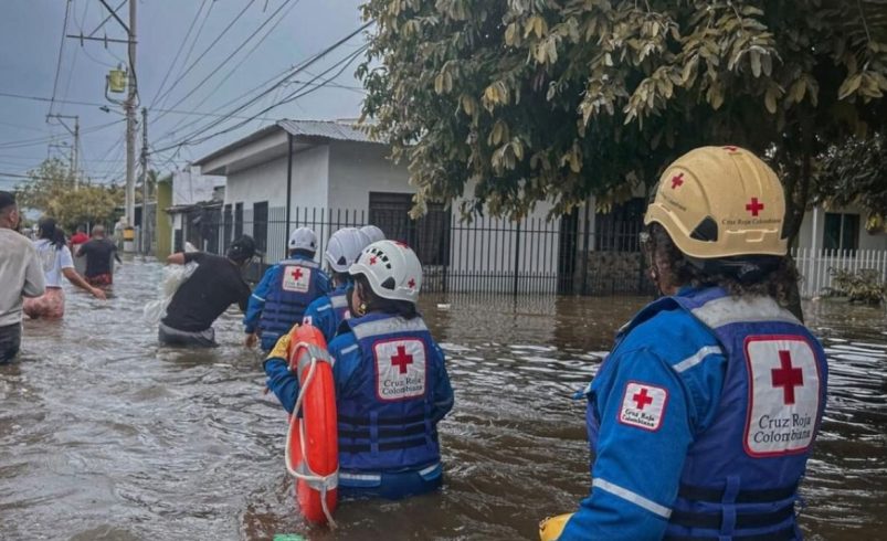 Desarrollan Ciudades Esponja para combatir inundaciones