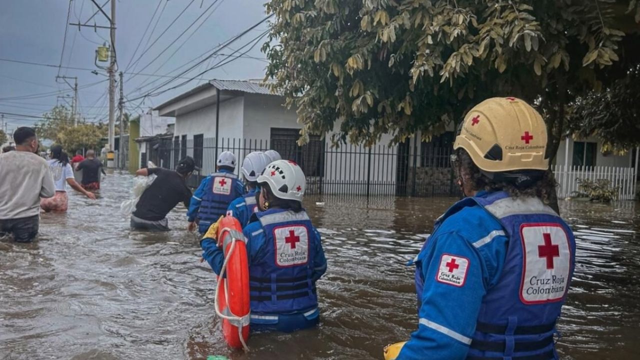 Desarrollan Ciudades Esponja para combatir inundaciones