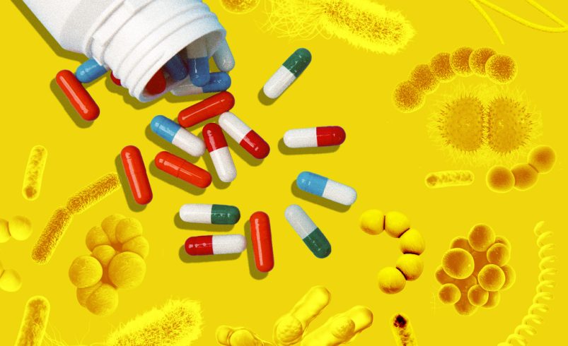 El escudo que protege a las bacterias de los antibióticos.