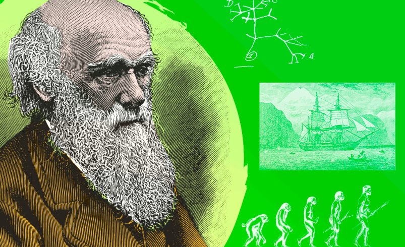 Familia, cartas, enfermedades: el lado personal de Charles Darwin