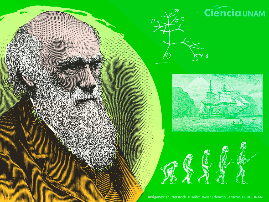 Familia, cartas, enfermedades: el lado personal de Charles Darwin