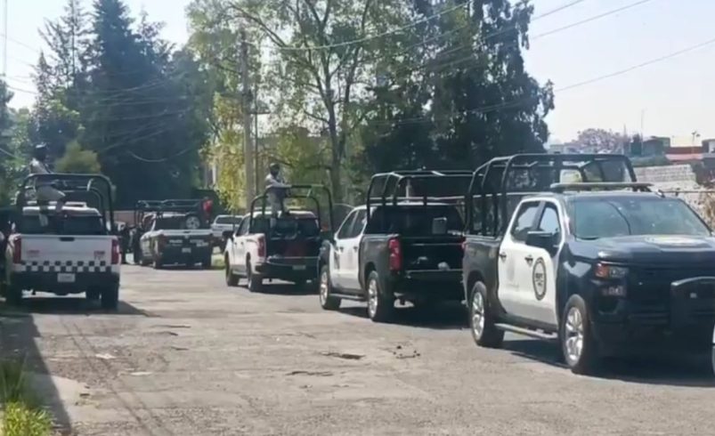 Golpe al narcotráfico en Puebla: aseguran plantío de amapola en Atempan