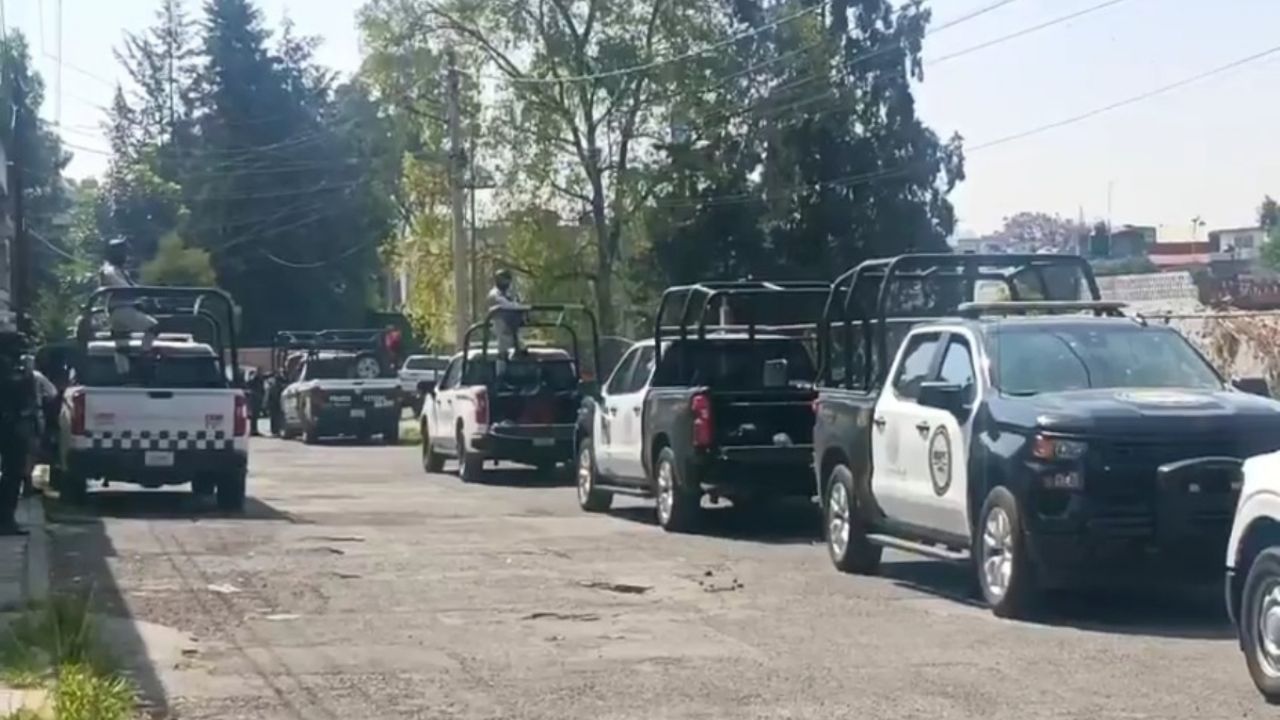 Golpe al narcotráfico en Puebla: aseguran plantío de amapola en Atempan