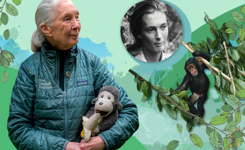 Jane Goodall nos enseñó que se puede investigar con rigor, pero también con compasión.
