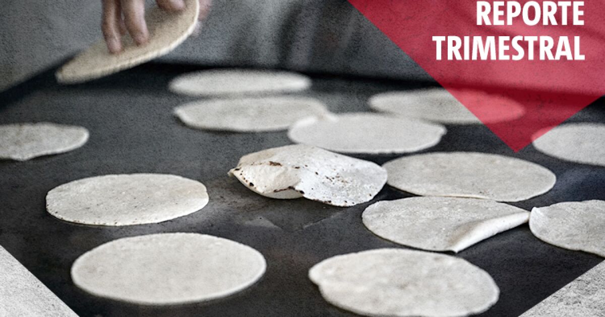 Las ganancias de Gruma caen 20% por debilidad del consumo en EU