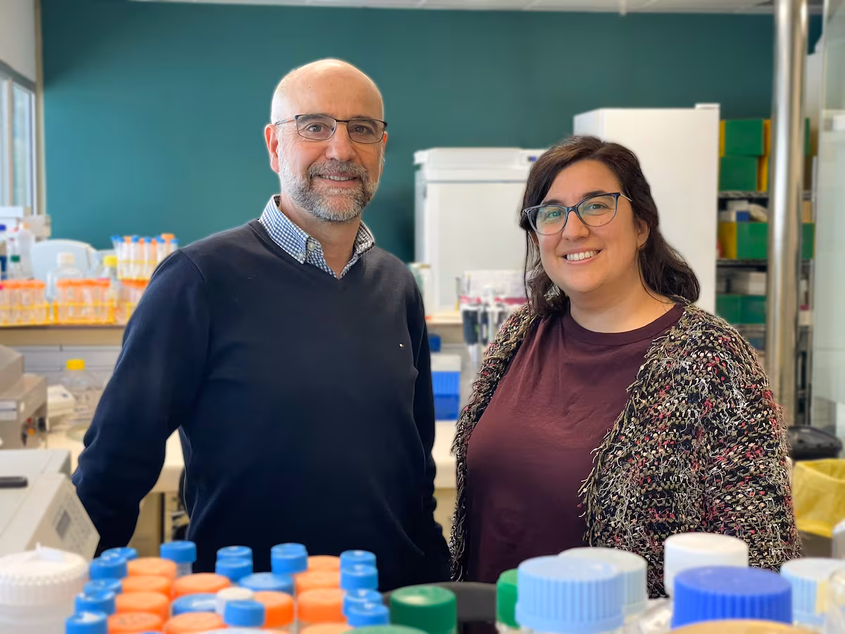 Las lecciones que dejan los 10 'curados' del VIH tras un trasplante de células madre: del icónico caso de Berlín al 'paciente de Oslo' | Salud y bienestar