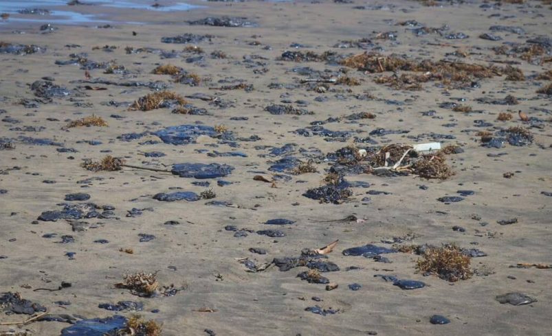 Pemex acepta culpa en derrame petrolero del Golfo de México