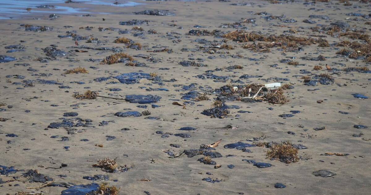 Pemex acepta culpa en derrame petrolero del Golfo de México