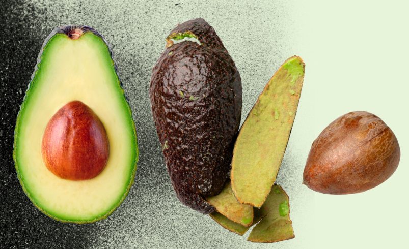 Purificar el agua con residuos de aguacate