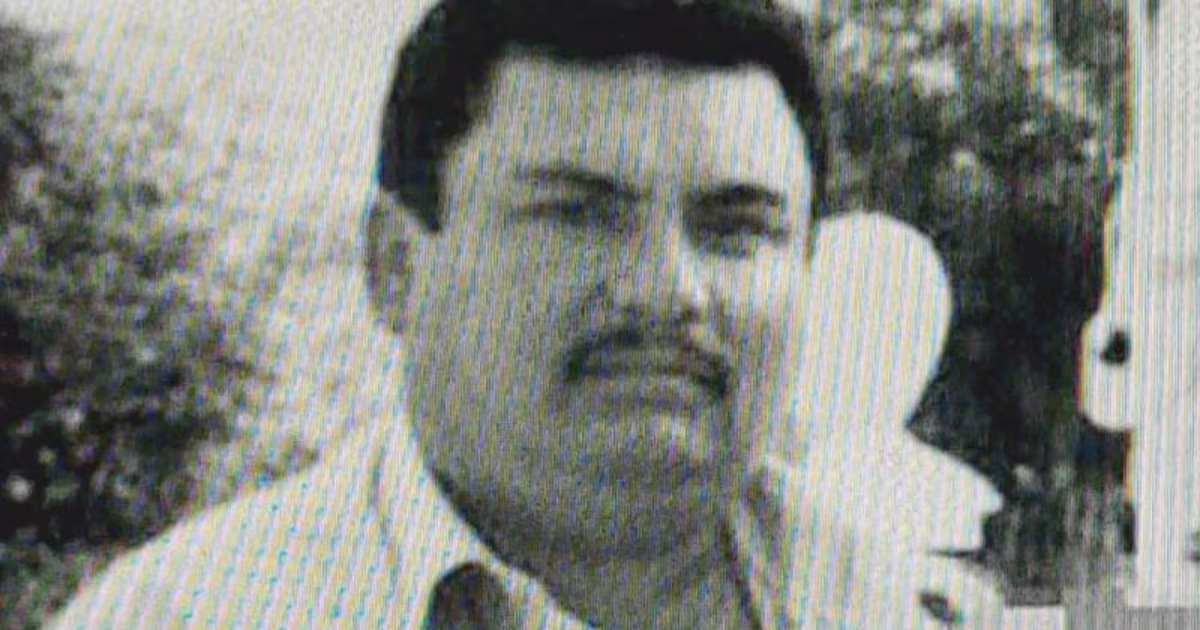 'Todavía no se confirma su detención' – el Financiero