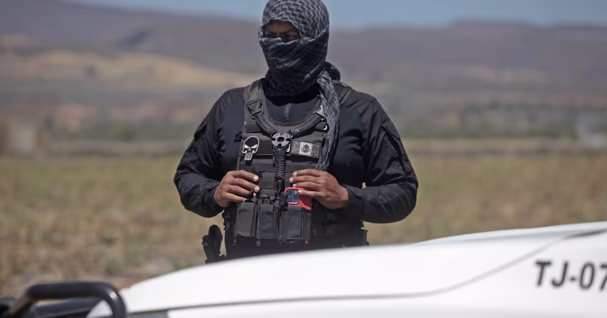 ¿Qué ha pasado a un año del hallazgo? – El Financiero