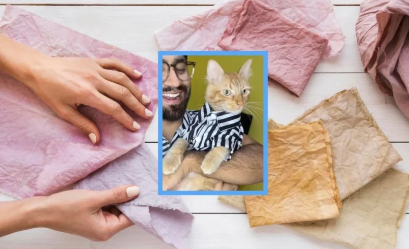Felipo, el gatito que modela prendas que su dueño le hace con retazos de tela