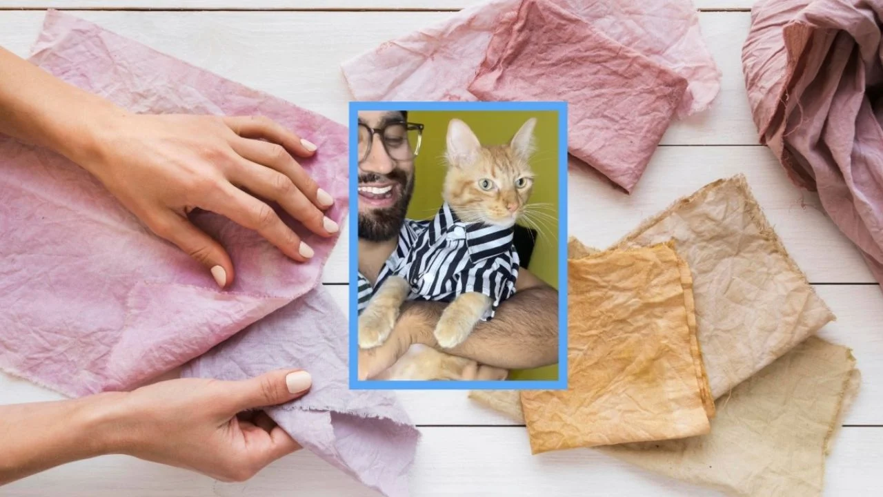 Felipo, el gatito que modela prendas que su dueño le hace con retazos de tela