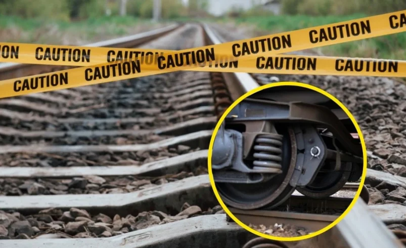 Tren de carga descarga en Córdoba, Veracruz; vuelcan 6 vagones con maíz y sorgo